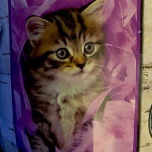 Beautiful cat plush throw!